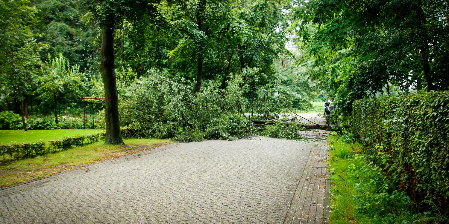 Risicovol weer