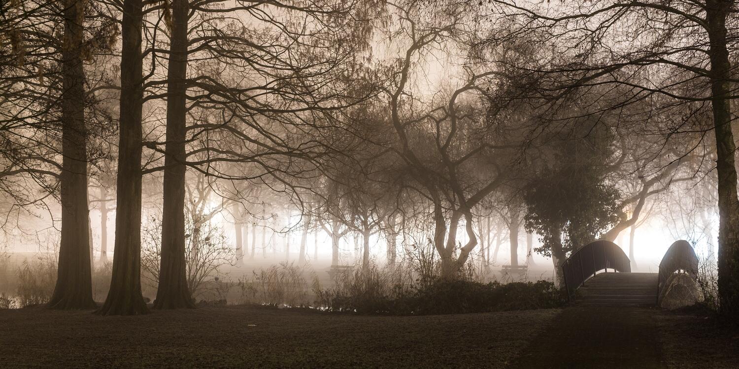 Mist
