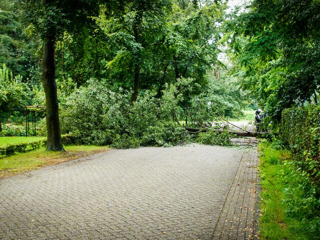 Risicovol weer