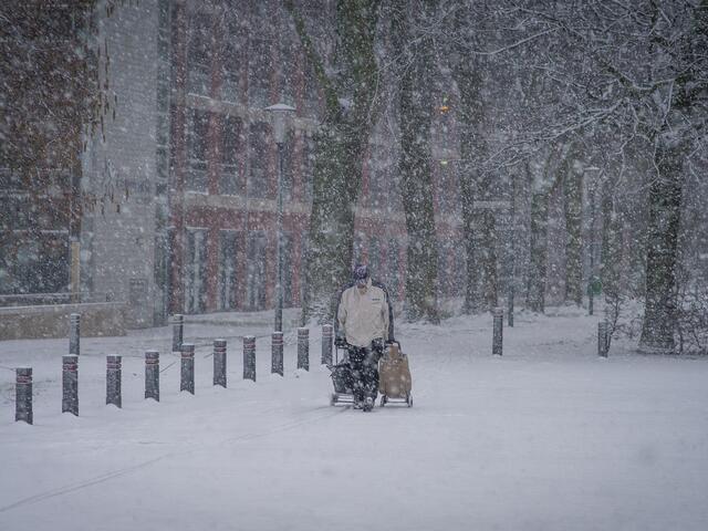 Sneeuw