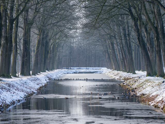 Sneeuw landschap