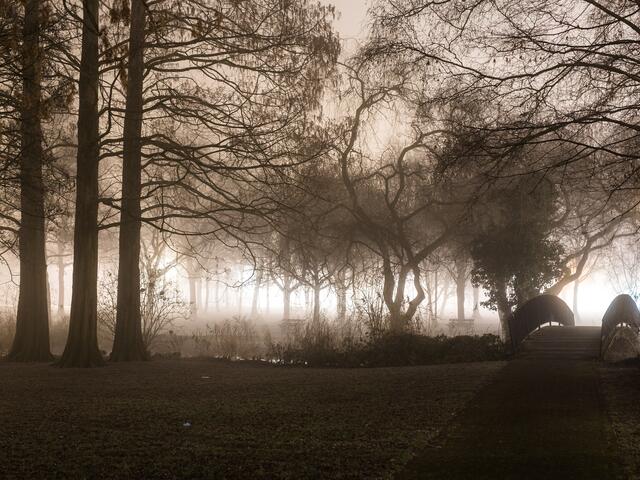 Mist