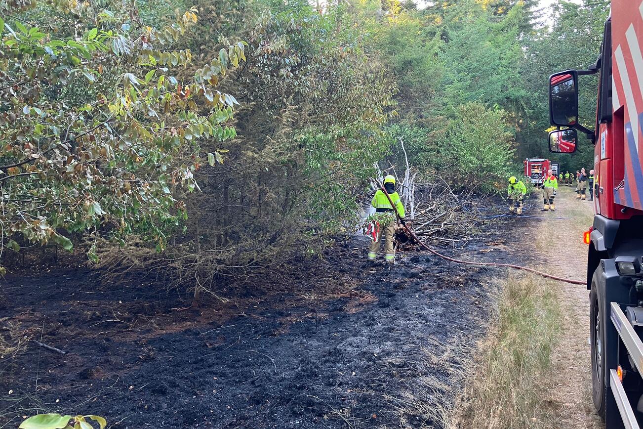 Brand Oploo
